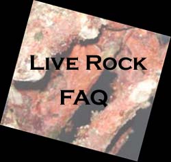 Live Rock FAQ