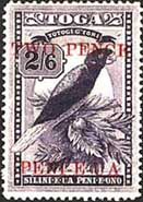 Tongan Parrot Stamp