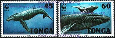 Tonga Humpback Whale Stamps