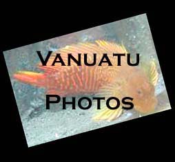 Vanuatu Fish Photos