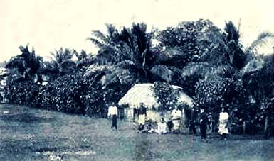 Vintage Tonga Hut