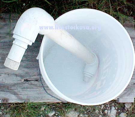 Water Filter and Bucket